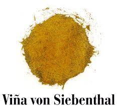 Vina von Siebenthal