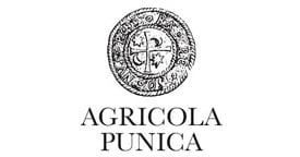 Agricola Punica