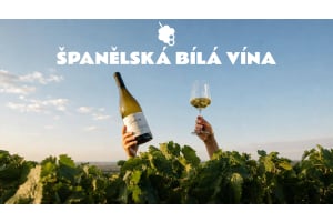 Proč zažívá španělské bílé víno svůj velký okamžik