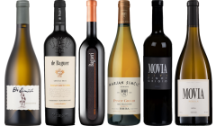 Slovinské bílé víno Premium Degustační Balíček