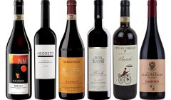 Degustační Balíček Špičkového Barolo