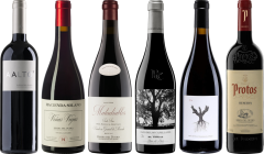 Ribera del Duero  Premium Degustační 