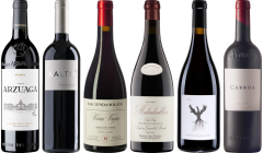Ribera del Duero Premium Degustační