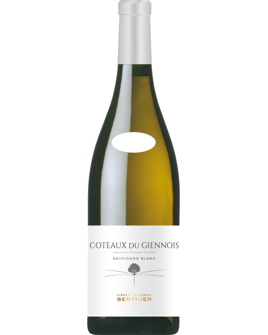 Clement & Florian Berthier Coteaux du Giennois Blanc 2023