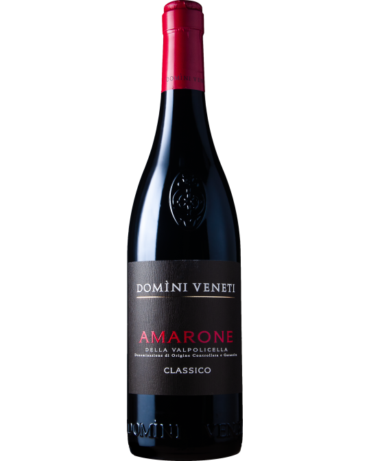 Domini Veneti Amarone della Valpolicella Classico 2021