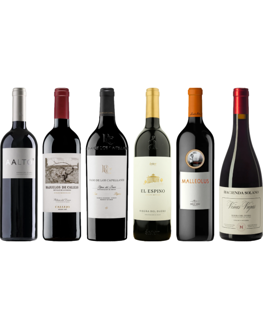 Ribera del Duero  Premium Degustační 