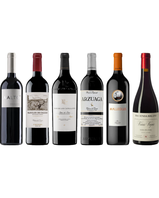 Ribera del Duero  Premium Degustační 