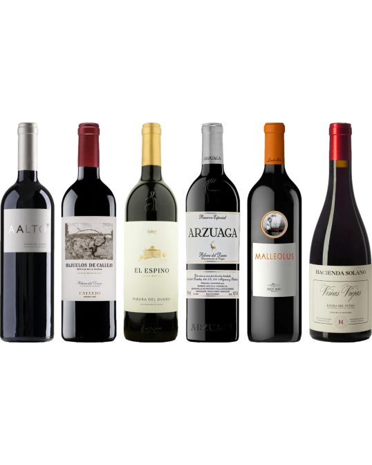 Ribera del Duero  Premium Degustační 