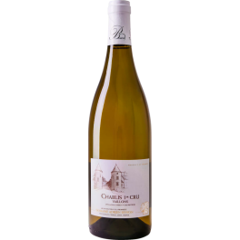 Domaine Besson Chablis Premier Cru Vaillons 2024