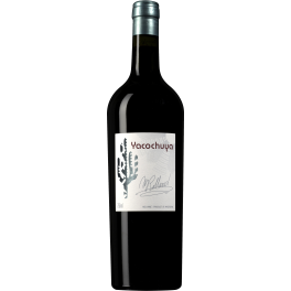 San Pedro de Yacochuya Yacochuya 2019