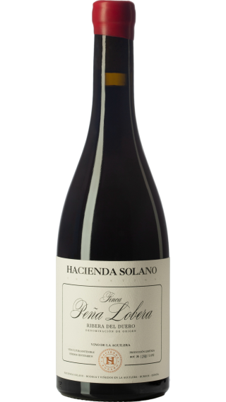 Bottle of Hacienda Solano Finca Pena Lobera 2019 wine 750 ml