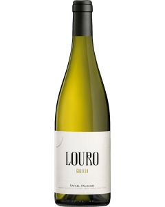 Rafael Palacios Louro 2023