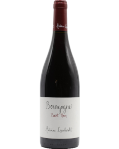 Antoine Lienhardt Bourgogne Rouge 2023