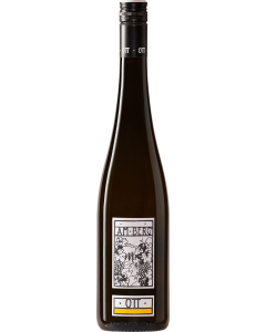 Bernhard Ott Am Berg Gruner Veltliner 2024