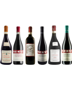 Piemonte Gattinara Prémiový Degustační Balíček