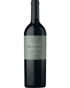 Vina Cobos Bramare Lujan de Cuyo Malbec 2021