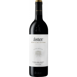 Aster Finca El Otero 2019