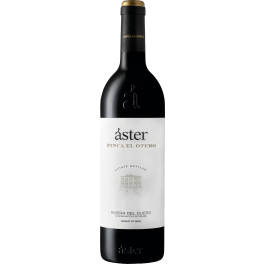 Aster Finca El Otero 2021