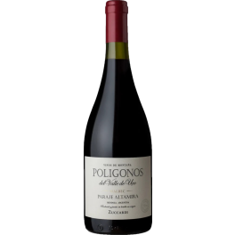 Zuccardi Poligonos Paraje Altamira Malbec 2023