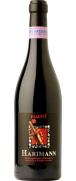 Pasetti Harimann Montepulciano d'Abruzzo 2012 (Není skladem)