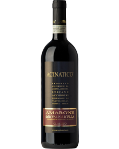 Stefano Accordini Acinatico Amarone della Valpolicella Classico 2020