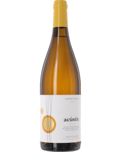 Acustic Celler Acustic Blanc 2017