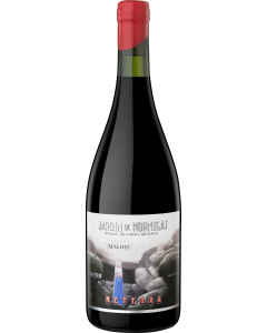 Altos Las Hormigas Meteora Malbec 2021