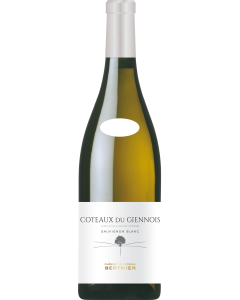 Clement & Florian Berthier Coteaux du Giennois Blanc 2024