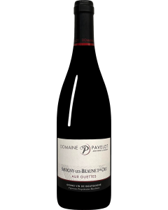 Domaine Jean-Marc & Hugues Pavelot Savigny les Beaune Premier Cru Aux Guettes 2018