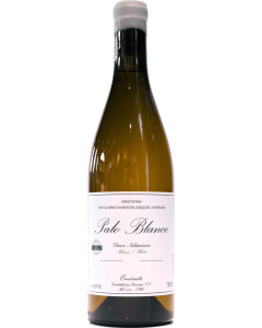 Envinate Palo Blanco 2024