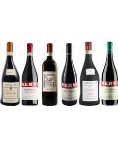 Piemonte Gattinara Prémiový Degustační Balíček
