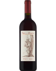 Pojer e Sandri Pinot Nero 2024