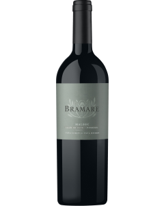 Vina Cobos Bramare Lujan de Cuyo Malbec 2021