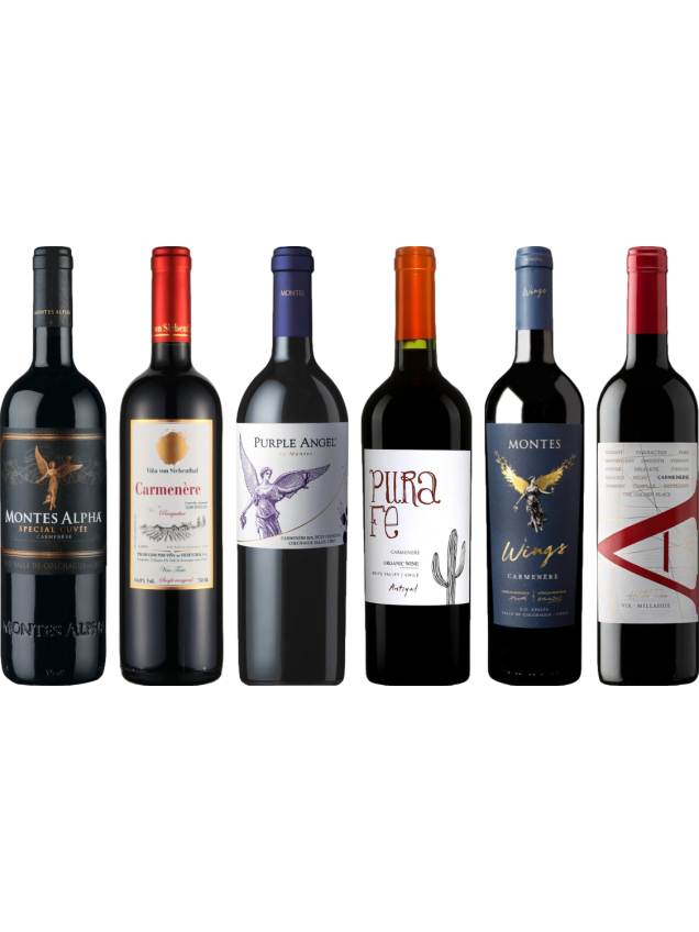 Carmenere Degustační Balíček