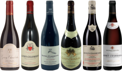 Gevrey Chambertin Degustační Balíček