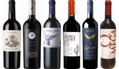 Carmenere Degustační Balíček