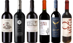 Carmenere Degustační Balíček