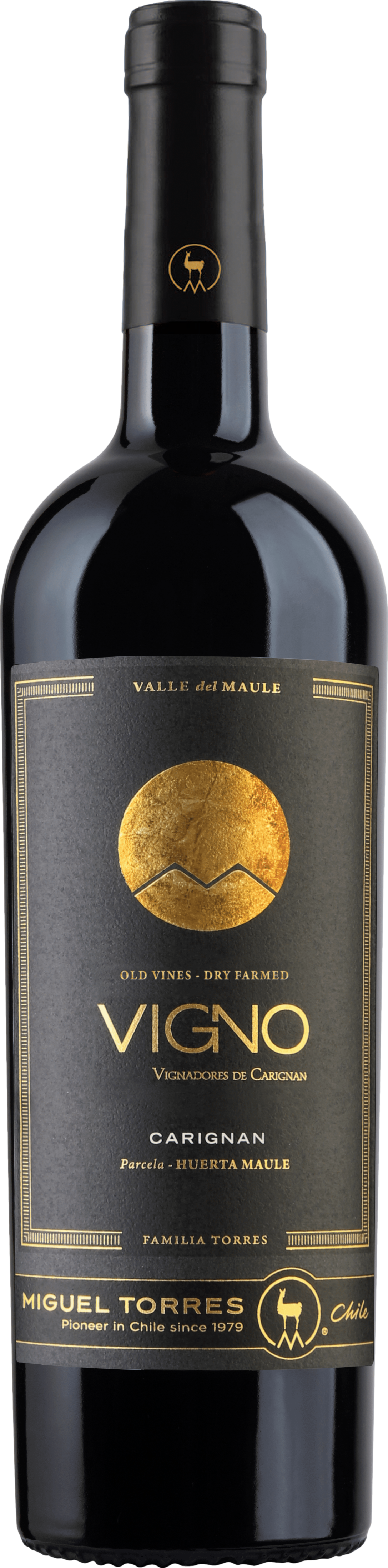Torres Cordillera Carignan 2018 Červené 14.0% 0.75 l (holá láhev)