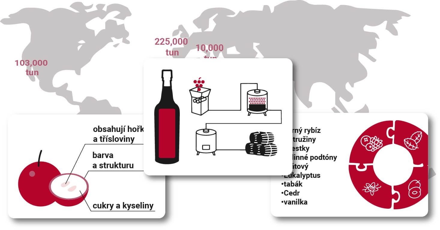 Průvodce Cabernet Sauvignonem po světě v roce 2024