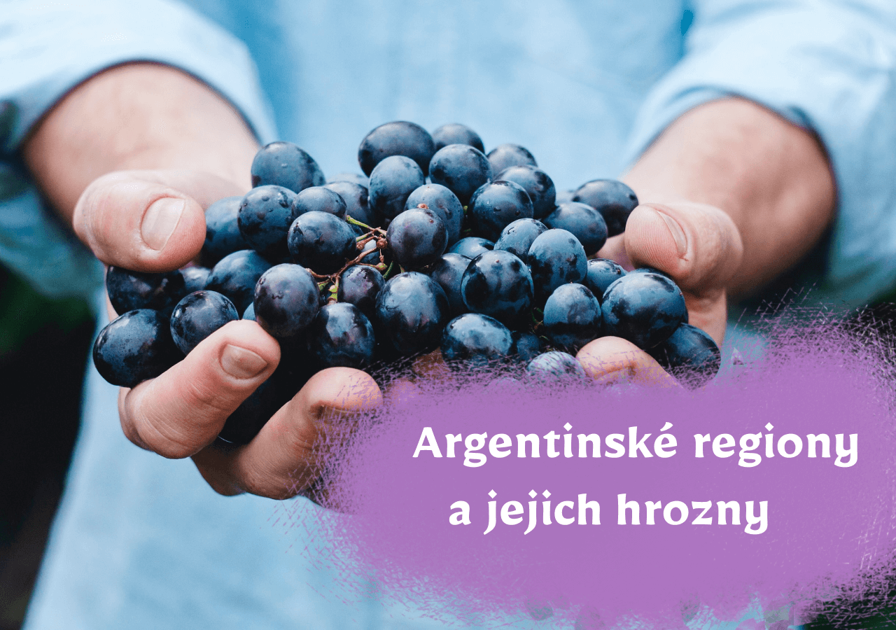 Argentinské oblasti a jejich hrozny