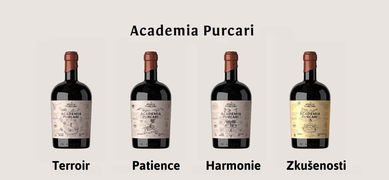 Academia Purcary