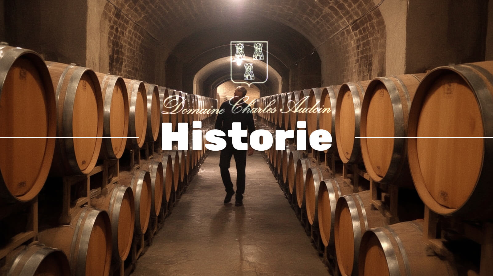 Domaine Audoin Historie