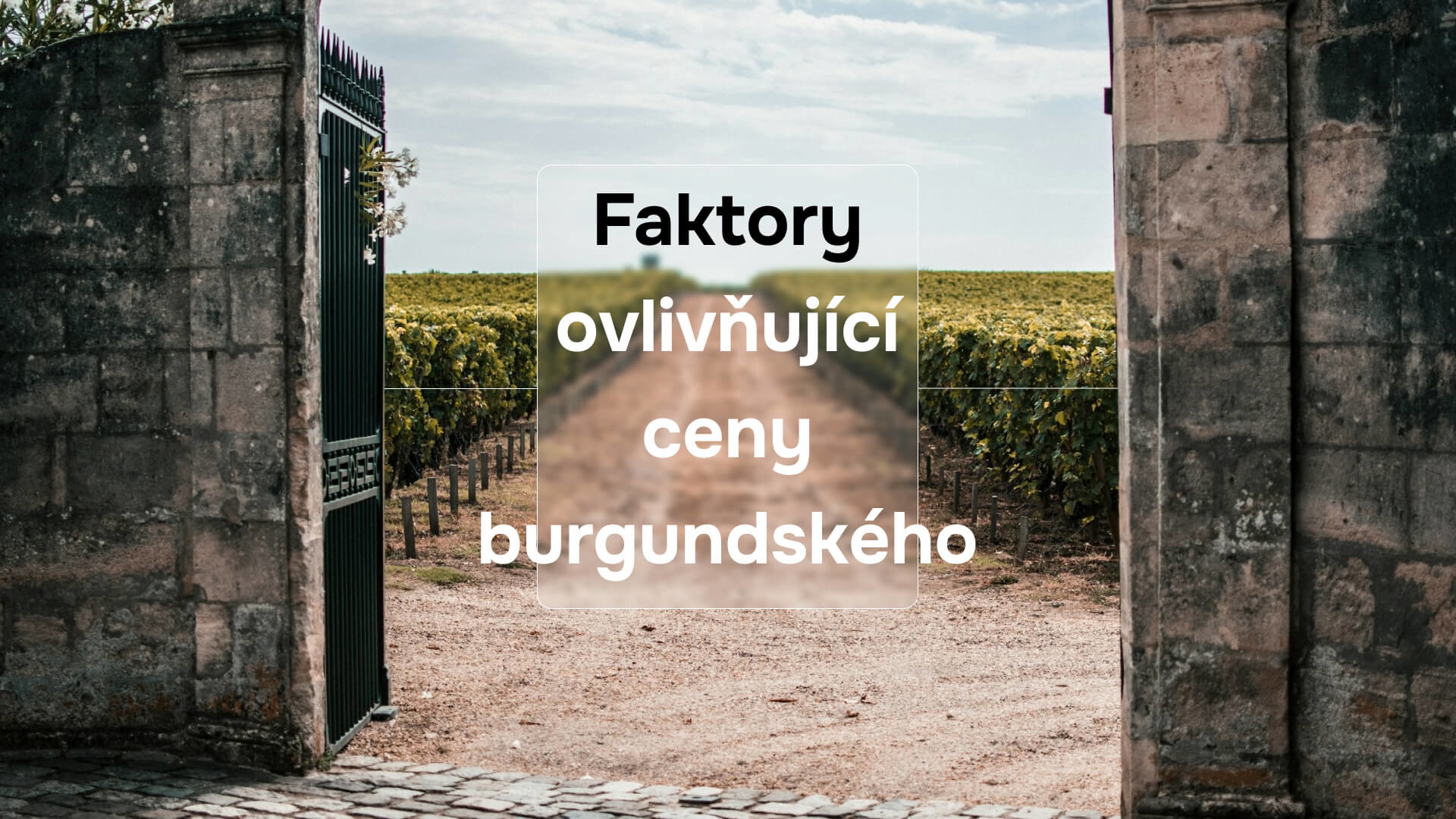 Faktory ovlivňující ceny burgundského