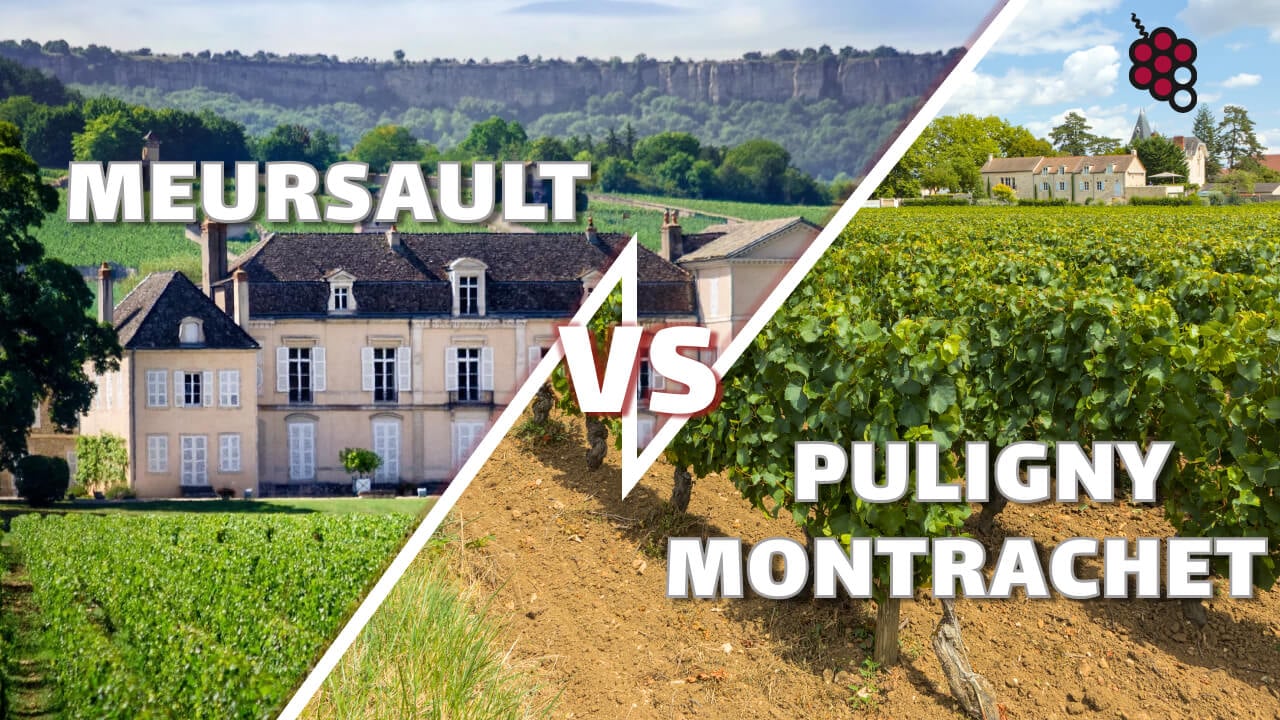 Klíčová role terroir: Meursault vs. Puligny Montrachet a co dělá tato vína tak jedinečnými