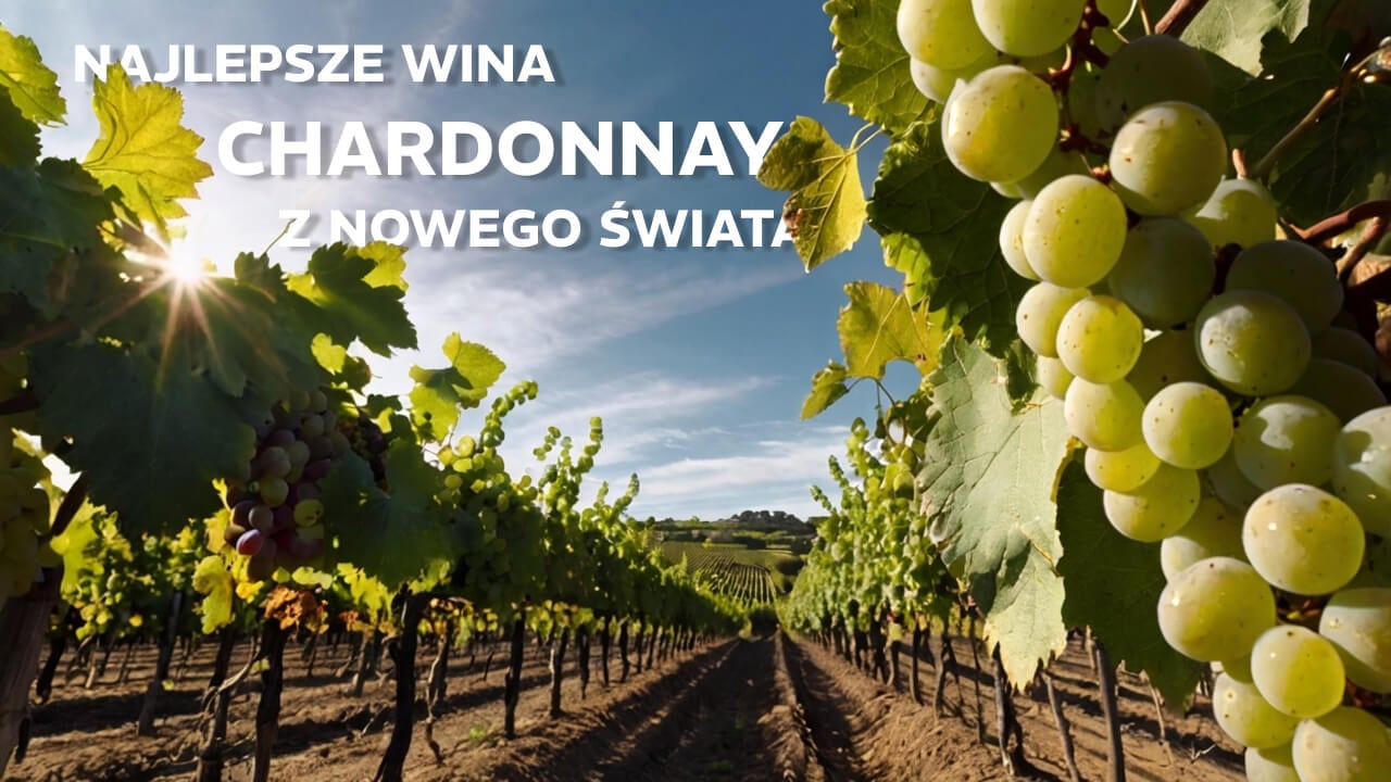 6 nejlepších vín Chardonnay z Nového světa