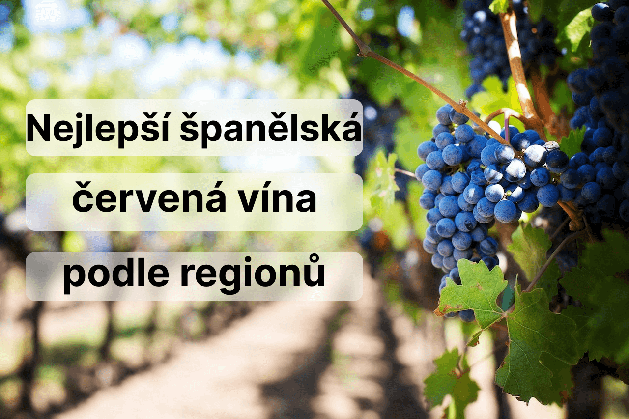 Nejlepší španělská červená vína podle regionů