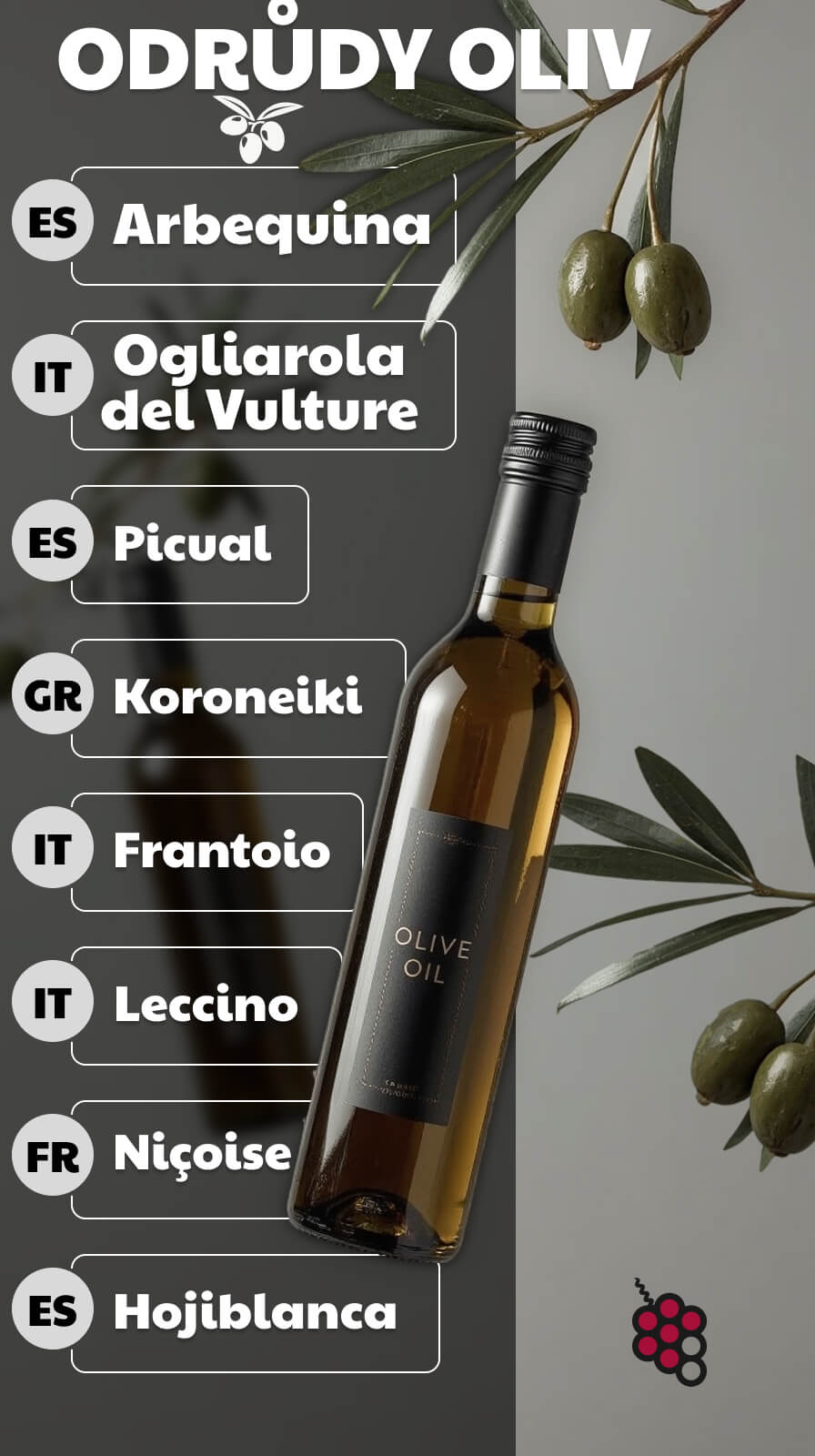 ODRŮDY OLIV