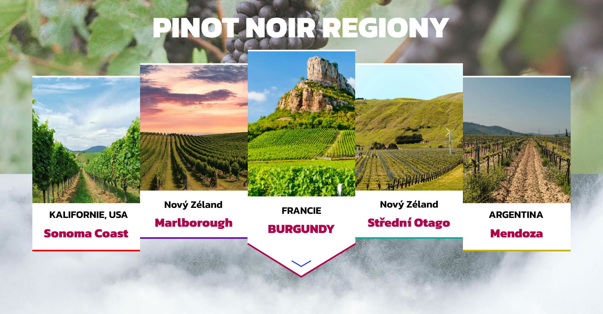 PINOT NOIR REGIONY