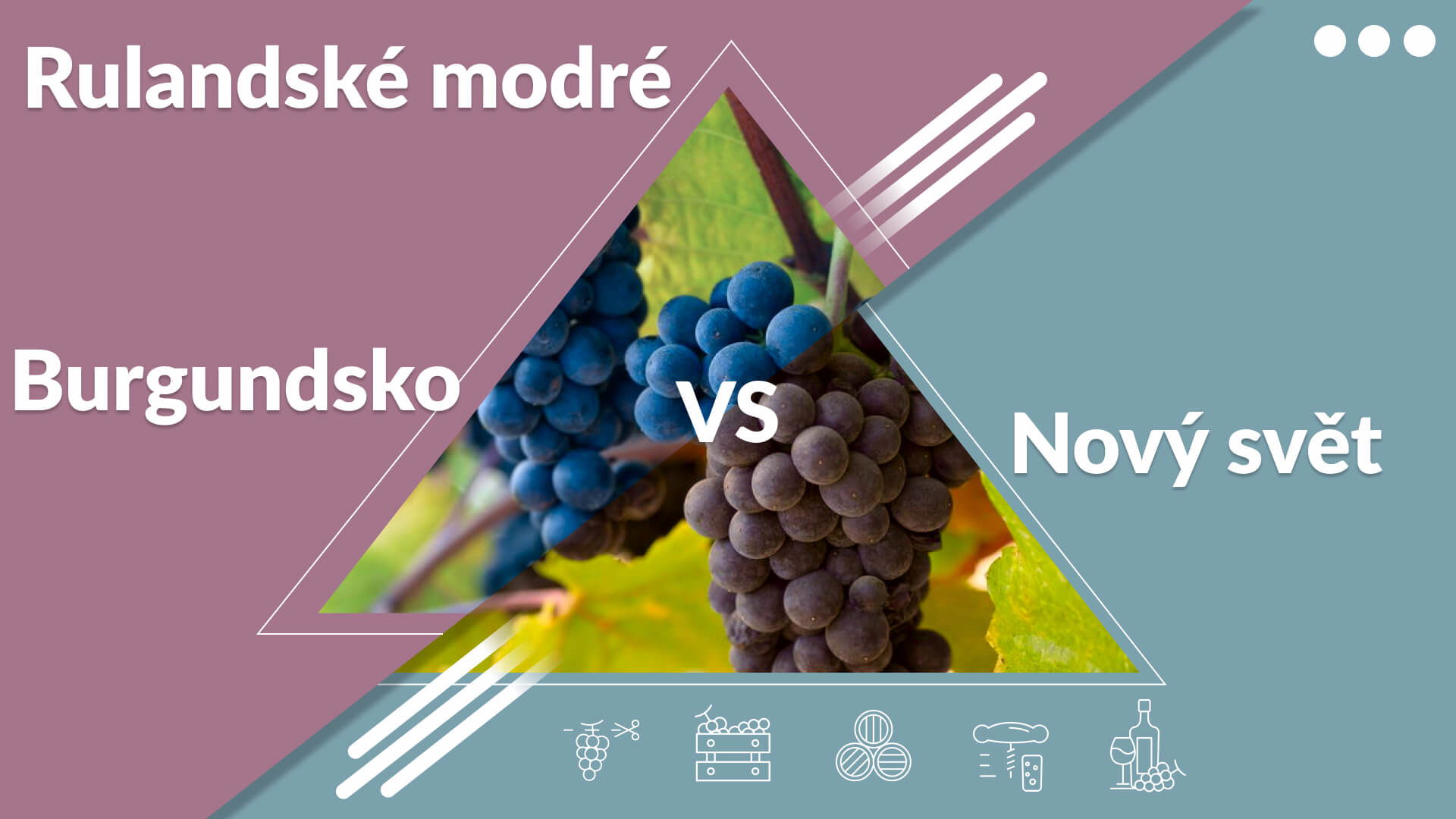 Burgundsko vs. Rulandské modré z Nového světa