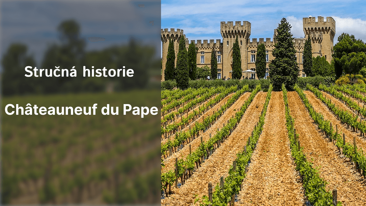 Stručná historie Châteauneuf du Pape